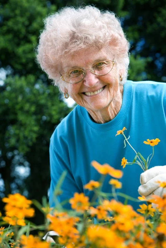 Home Bound Senior Craft Ideas