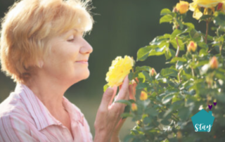 Gardening for Seniors - Container Gardens