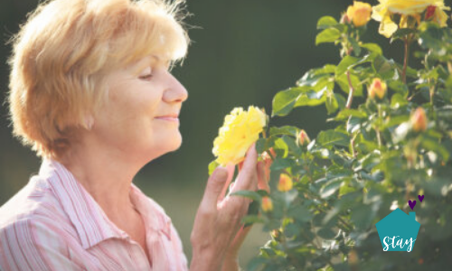 Gardening for Seniors - Container Gardens