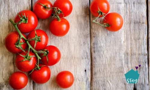 Brain Health Foods