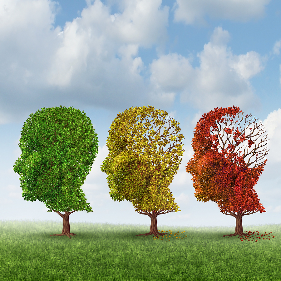 Elderly Care in Woolwich Township NJ: What Can You Expect During the Moderate Stage of Alzheimer's Disease?