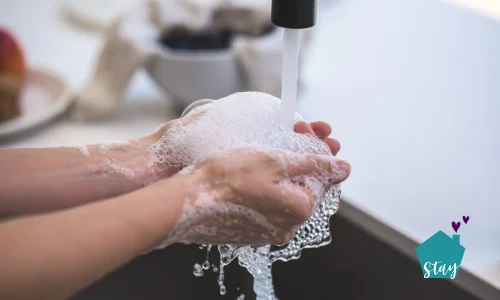 Proper Hand Sanitation