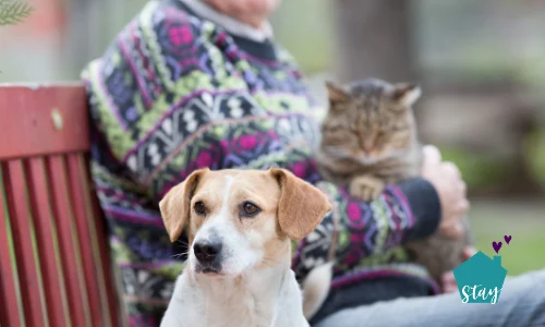 Seniors Pets