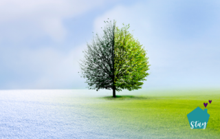 Seasonal Changes affect dementia