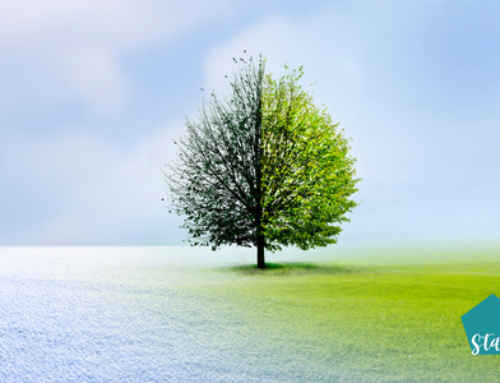 How Seasonal Changes Affect Those Living With Dementia