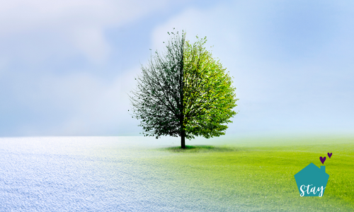 Seasonal Changes affect dementia