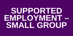 Supported Employment - Small Group