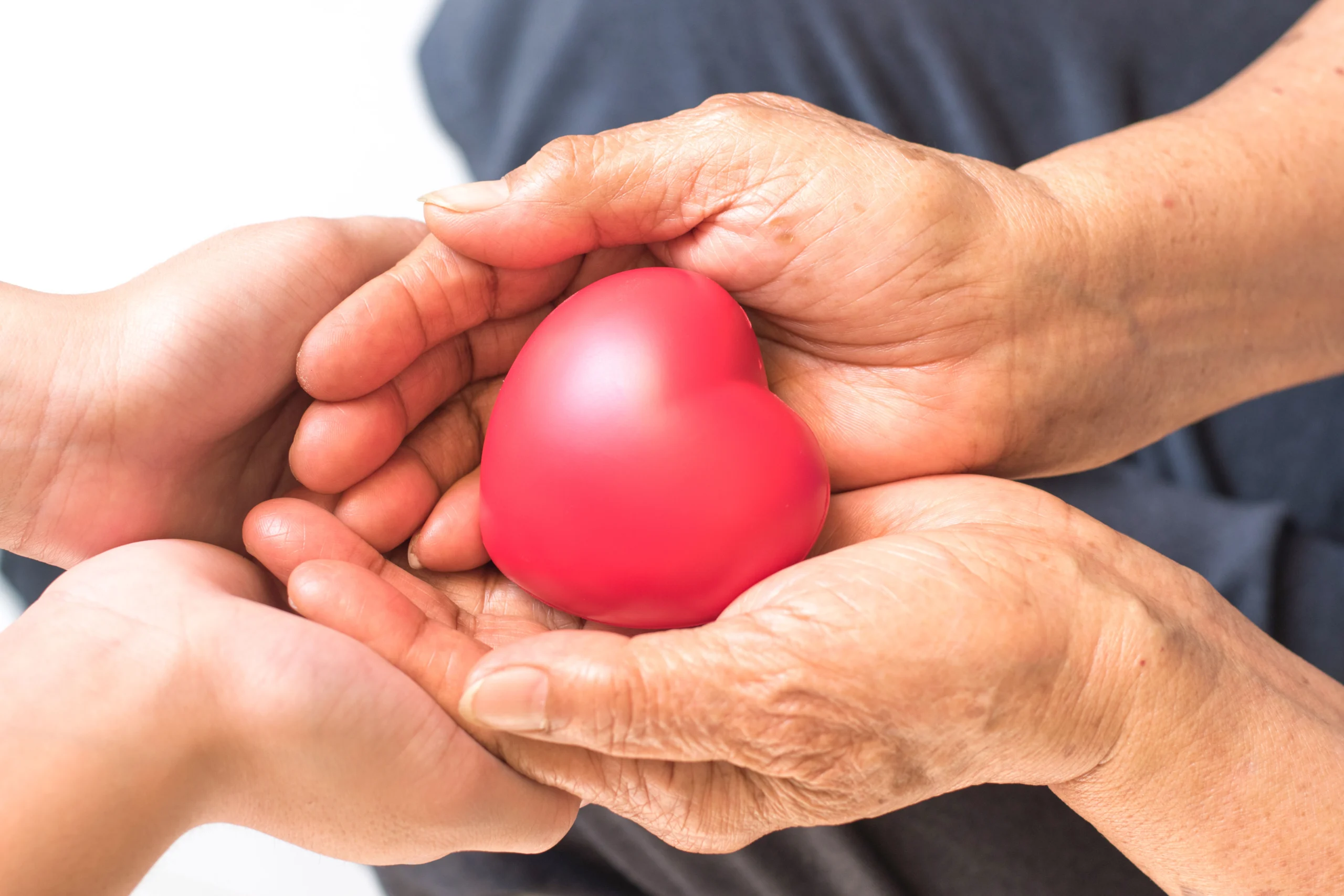 Closeup of two sets of hands wrapped around a plastic heart.